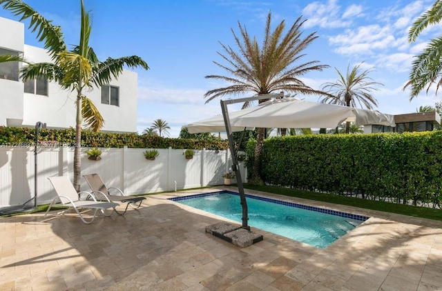 view of swimming pool with a patio area