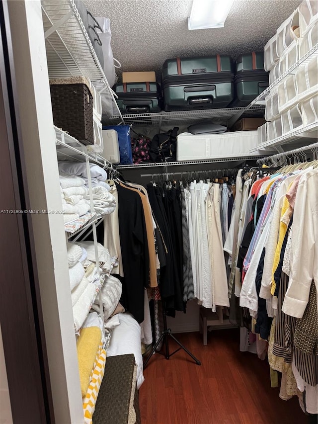 spacious closet with dark hardwood / wood-style flooring