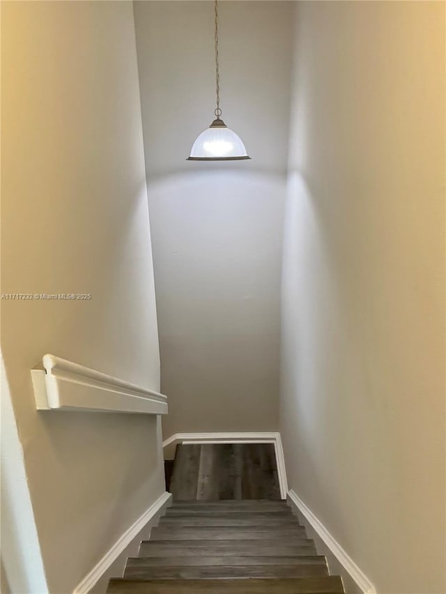 stairway with wood-type flooring