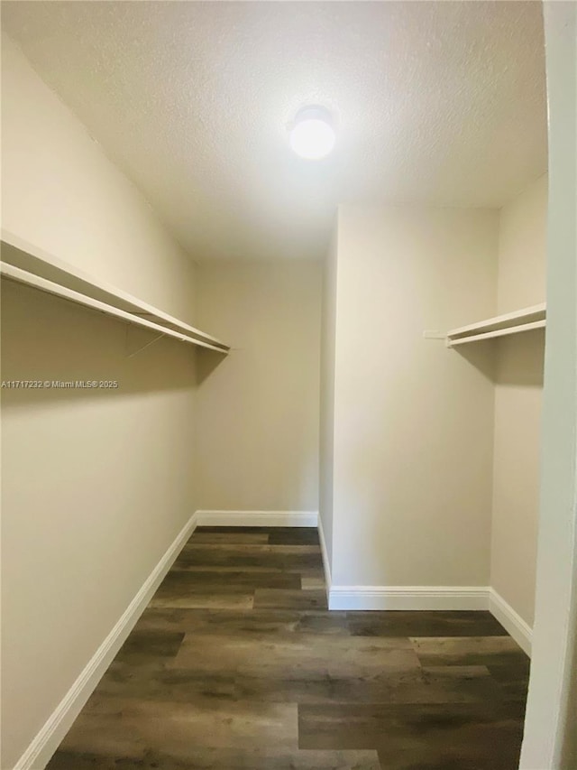 walk in closet with dark hardwood / wood-style flooring