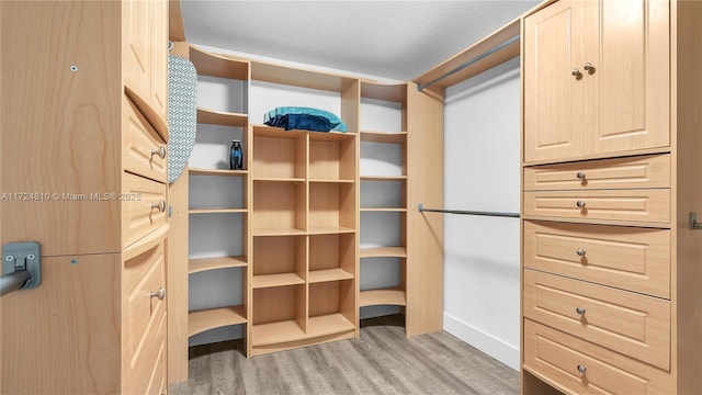 spacious closet with light hardwood / wood-style flooring