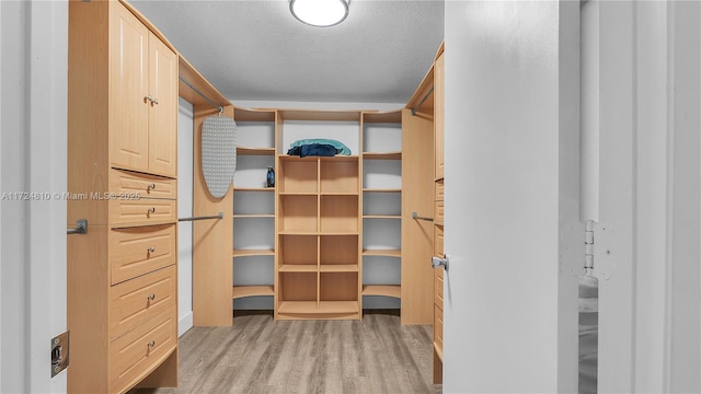 spacious closet with light hardwood / wood-style flooring