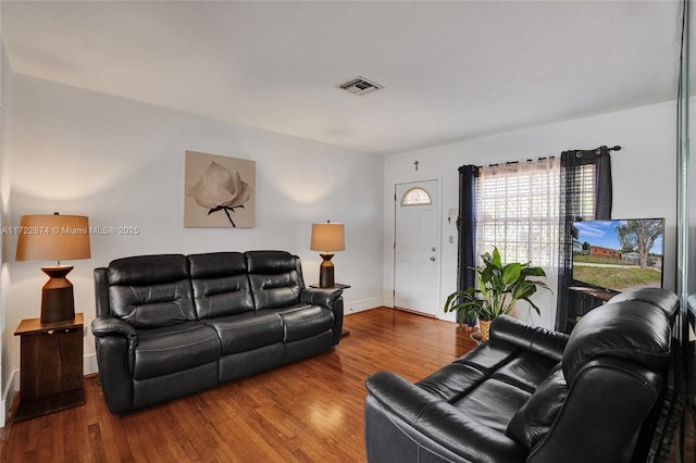 living room with hardwood / wood-style flooring