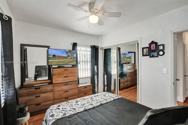 bedroom with hardwood / wood-style flooring, ceiling fan, and a closet