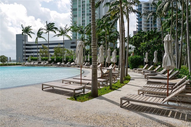 650 NE 32nd St Unit 2703, Miami, FL 33137 - view of community pool