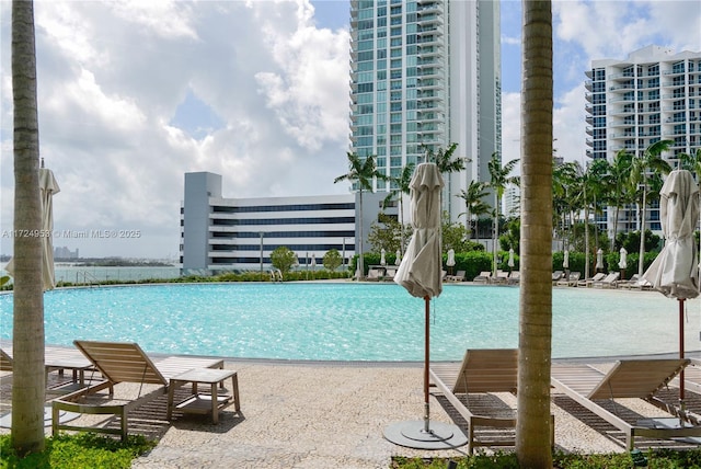 650 NE 32nd St Unit 2703, Miami, FL 33137 - view of community pool