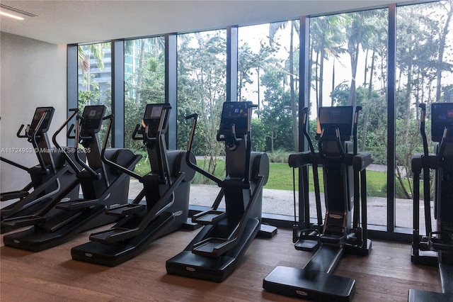 gym with floor to ceiling windows and dark wood-type flooring