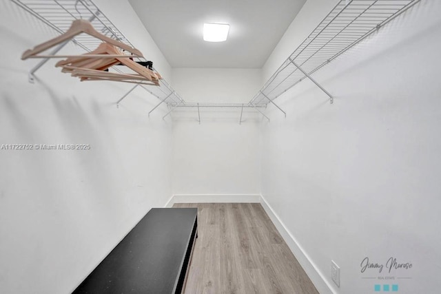 walk in closet featuring wood-type flooring