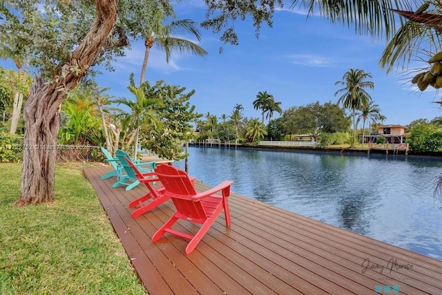 dock area with a water view