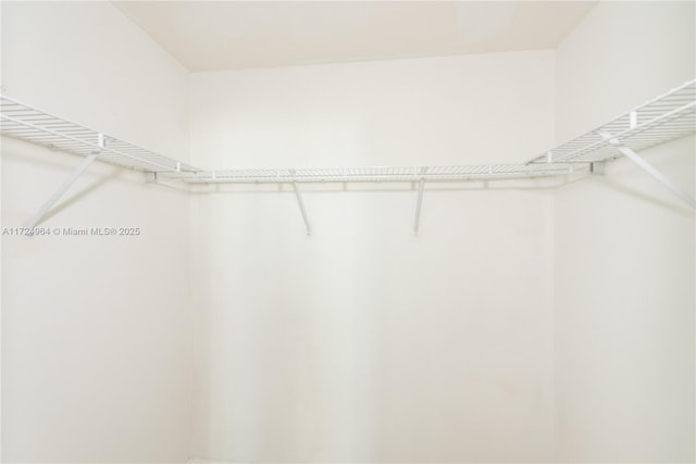 view of walk in closet