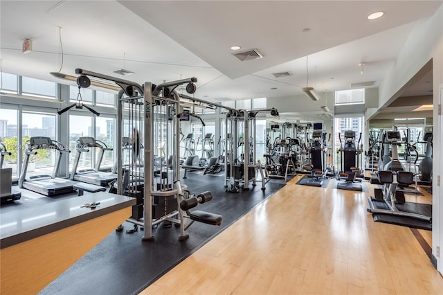 workout area featuring a healthy amount of sunlight and light wood-type flooring