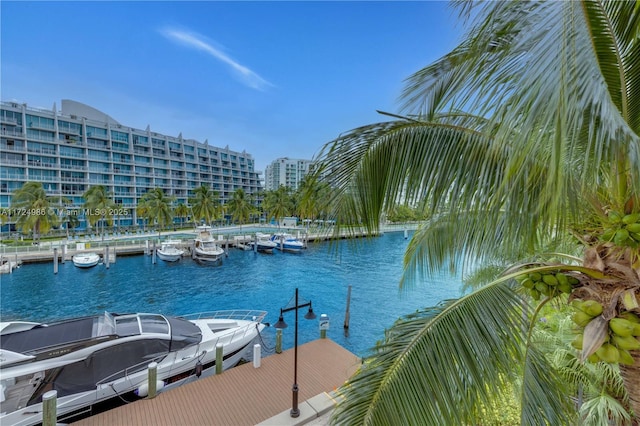 dock area with a water view