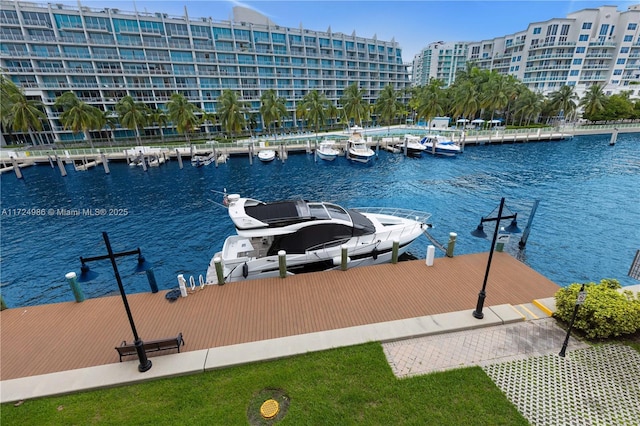 dock area with a water view