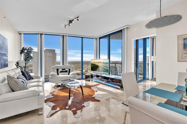 living room featuring a wealth of natural light, rail lighting, and expansive windows