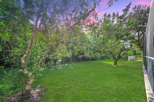 view of yard at dusk