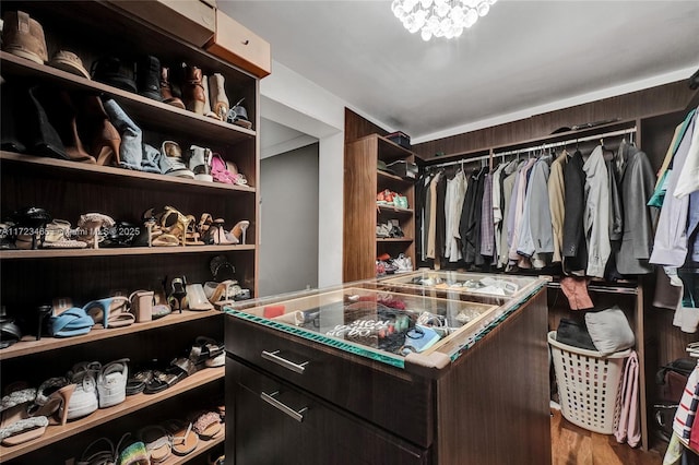 spacious closet featuring wood-type flooring