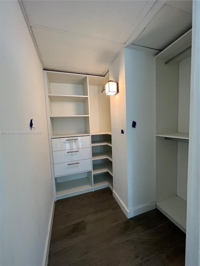 spacious closet with dark hardwood / wood-style floors