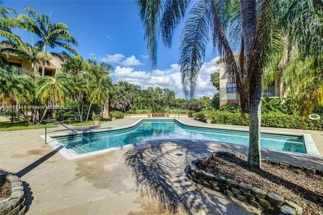 view of swimming pool