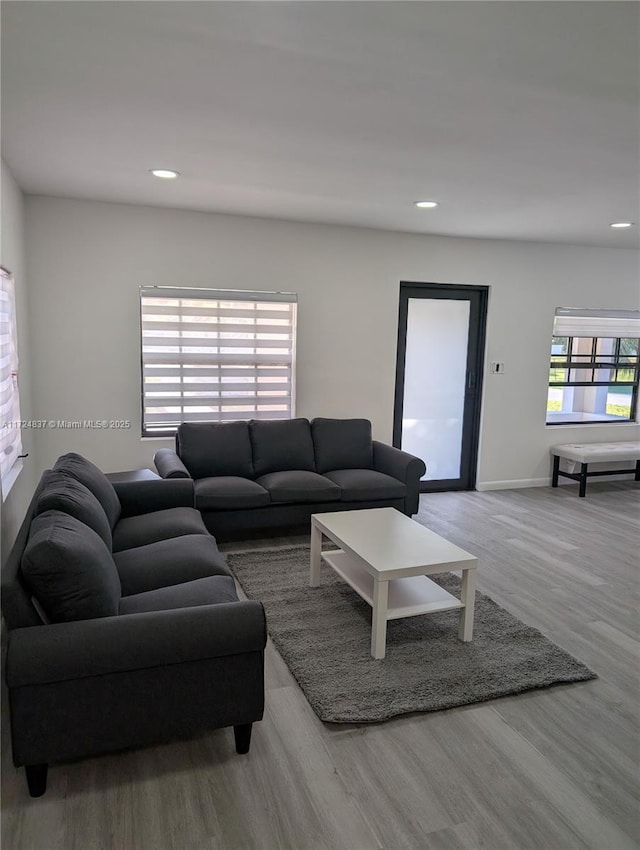 living room featuring light hardwood / wood-style floors