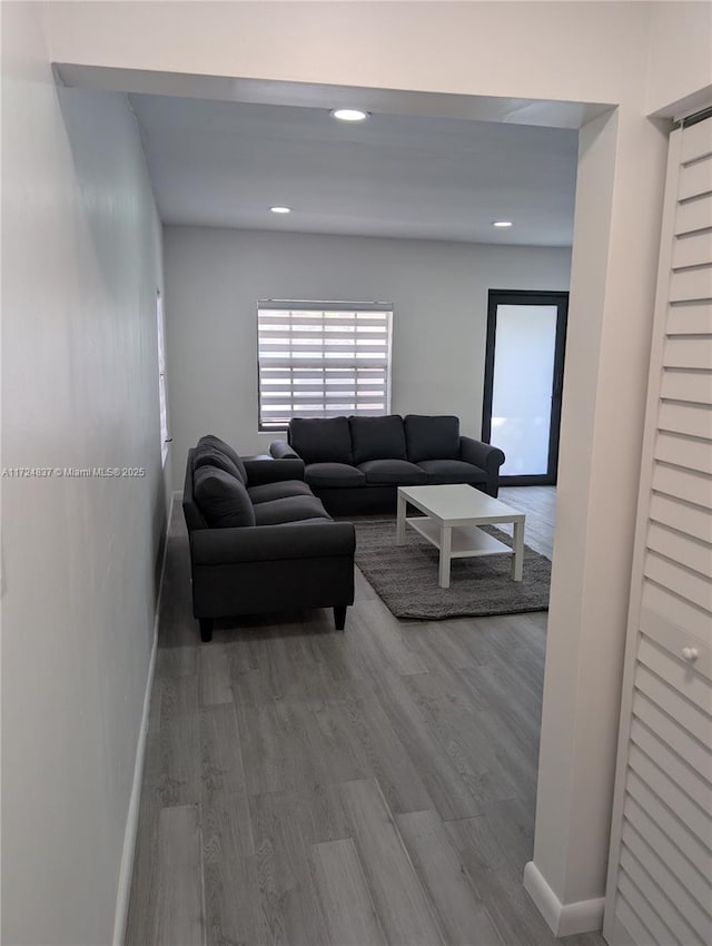 living room featuring wood-type flooring