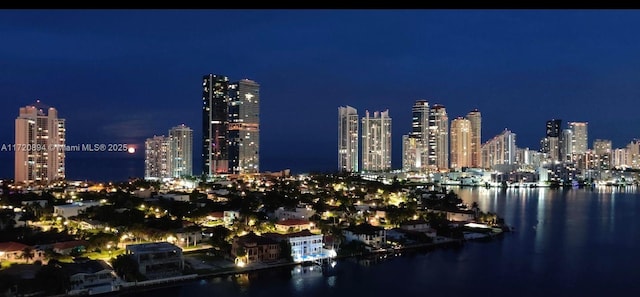 property's view of city with a water view