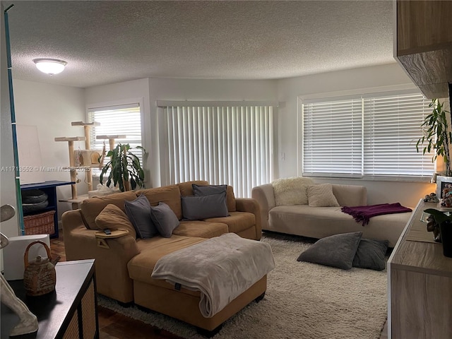 living room featuring a textured ceiling