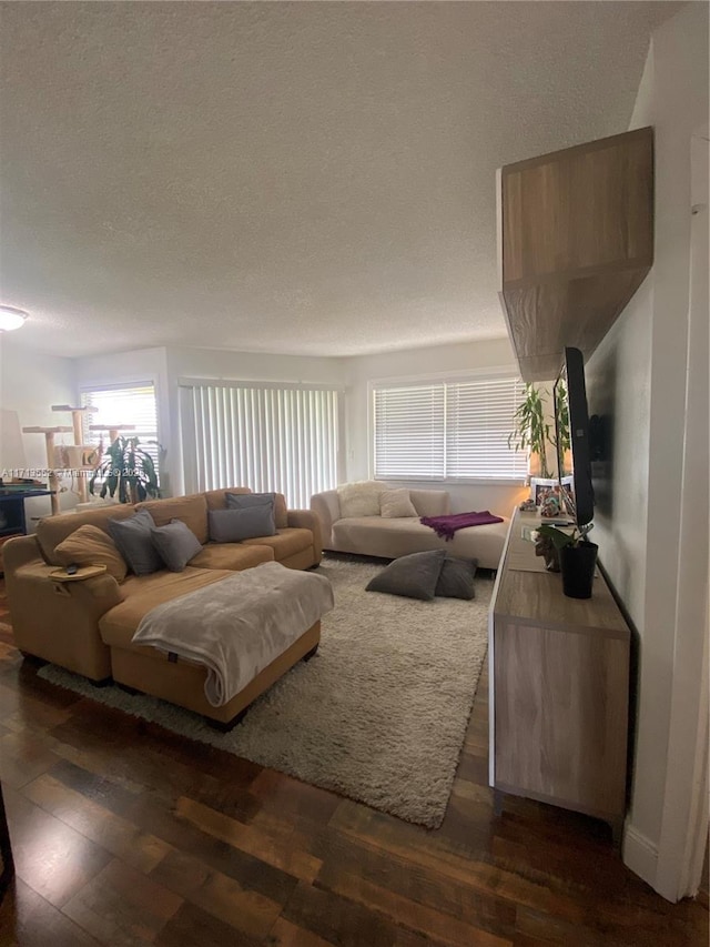 2278 SE 27th Dr Unit 201-G, Homestead, FL 33035 - living room featuring dark hardwood / wood-style floors