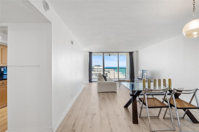 dining room featuring expansive windows and light wood-type flooring