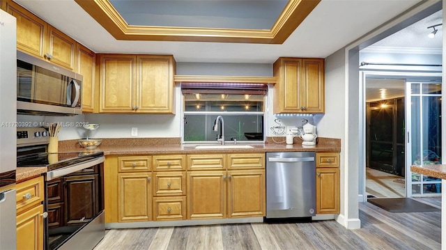 kitchen with sink, stainless steel appliances, light hardwood / wood-style floors, and a raised ceiling