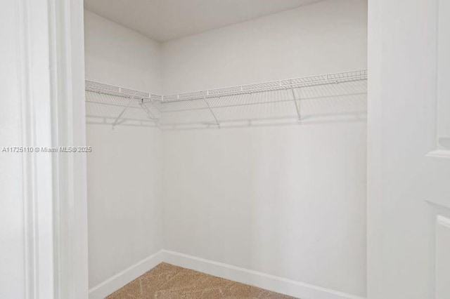 walk in closet featuring carpet flooring