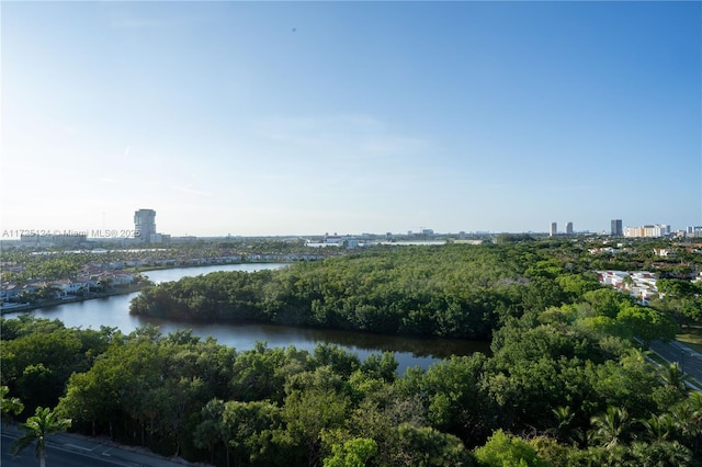 3375 N Country Club Dr Unit 1102, Aventura, FL 33180 - view of water feature