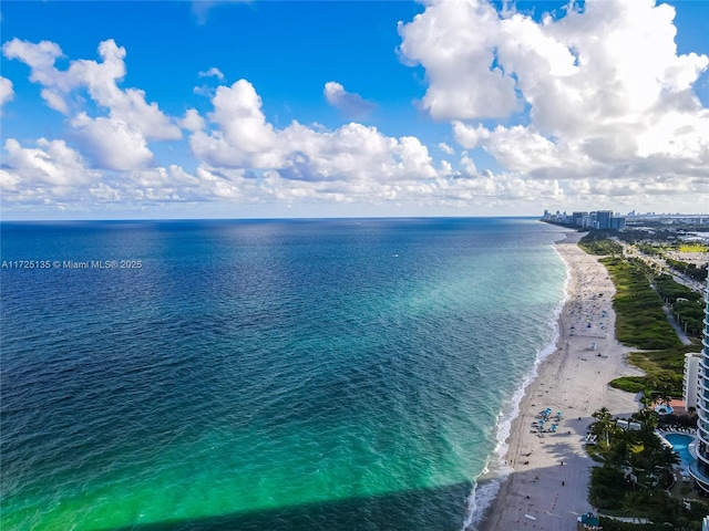 property view of water featuring a beach view