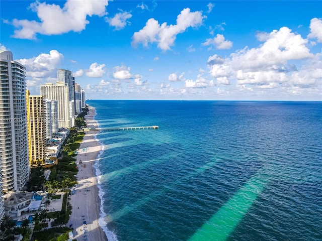 property view of water featuring a view of the beach