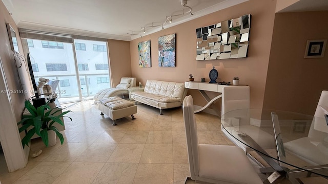 living area featuring rail lighting and expansive windows