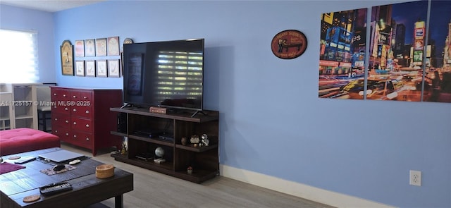 living room with hardwood / wood-style floors