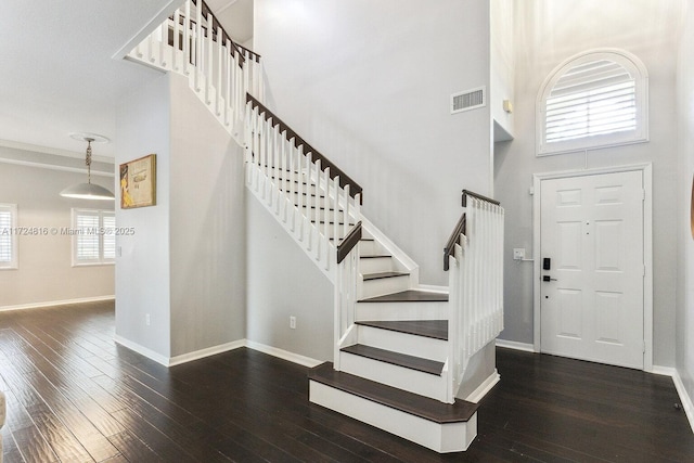 entrance foyer with a high ceiling, a healthy amount of sunlight, and dark hardwood / wood-style floors