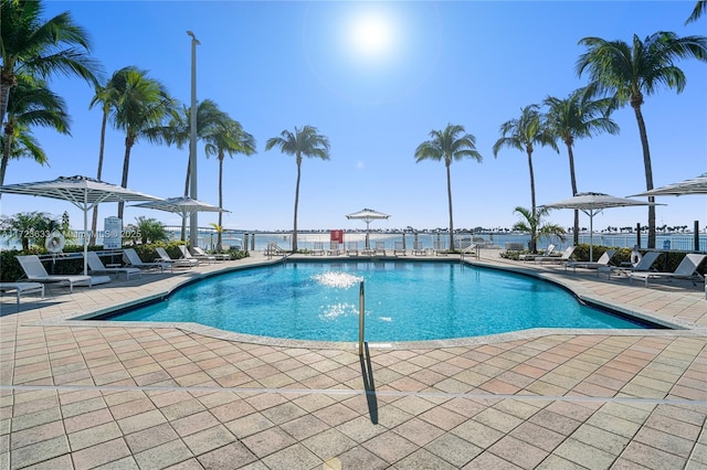 view of swimming pool featuring a patio area