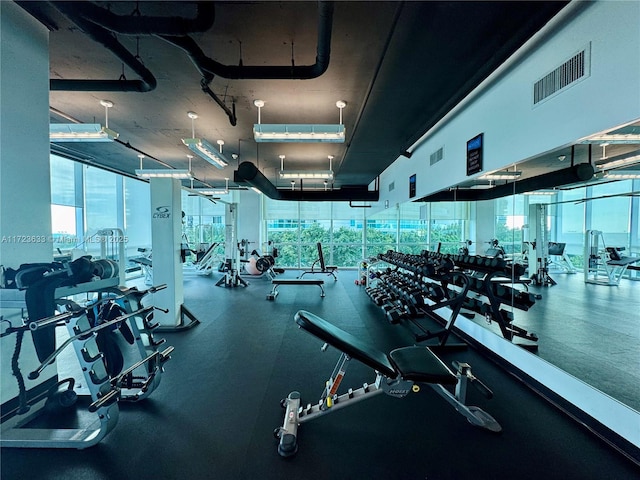 workout area featuring plenty of natural light and expansive windows