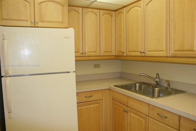 kitchen featuring sink, white fridge, and light brown cabinets