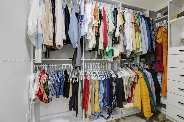 view of spacious closet