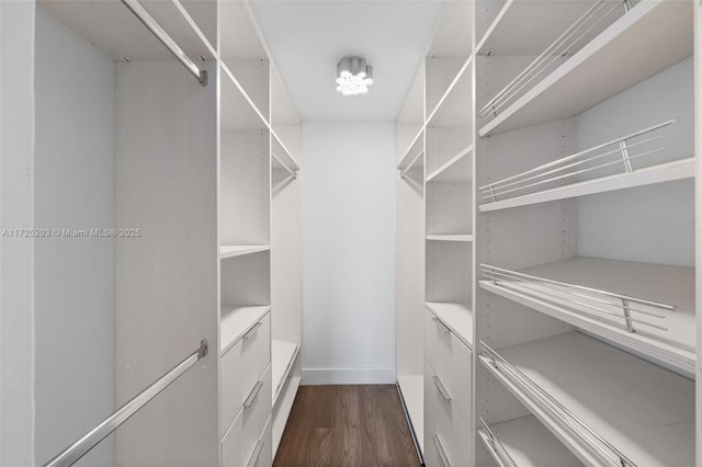 spacious closet with dark hardwood / wood-style floors