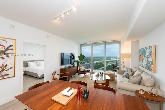 living room featuring floor to ceiling windows, light wood-type flooring, and rail lighting