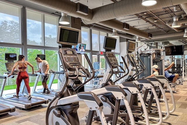 gym with a healthy amount of sunlight and light colored carpet