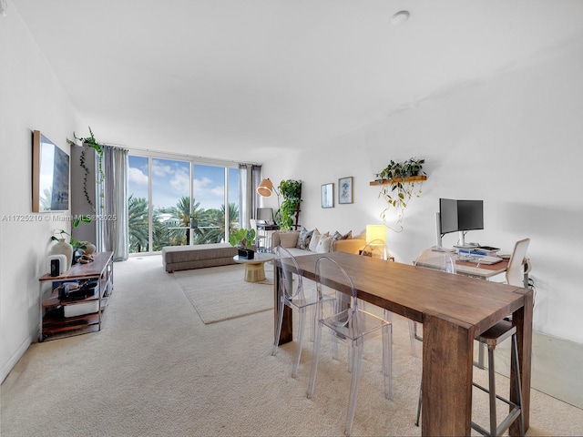 carpeted home office with expansive windows