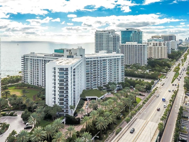 bird's eye view with a water view