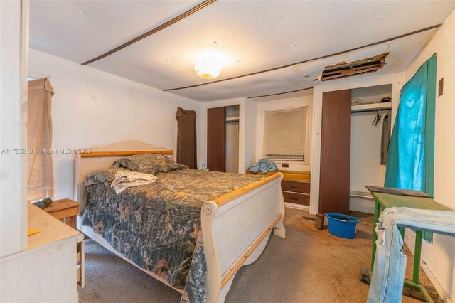 bedroom featuring multiple closets and carpet flooring