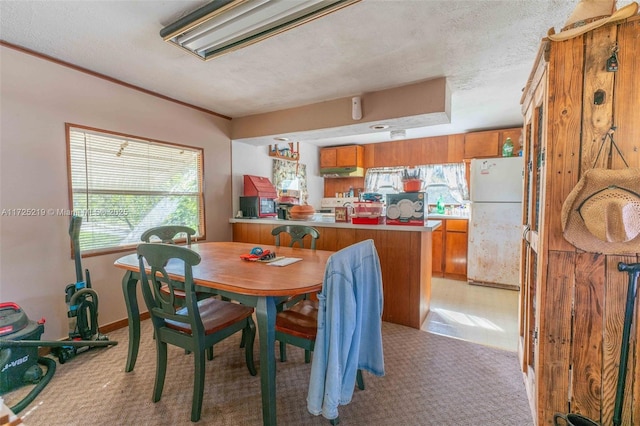 carpeted dining area featuring a textured ceiling