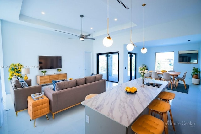 kitchen featuring a raised ceiling, a breakfast bar area, and a wealth of natural light