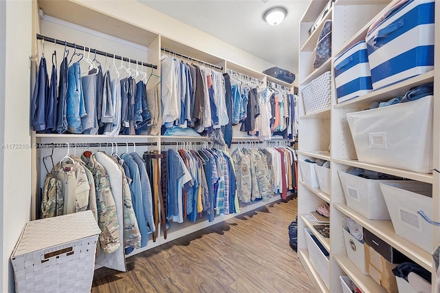 spacious closet with hardwood / wood-style floors