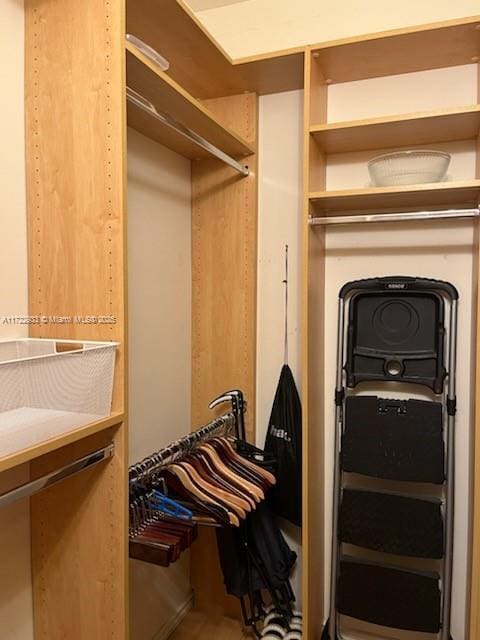 view of walk in closet